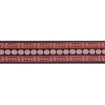 Planetwaves 50A13