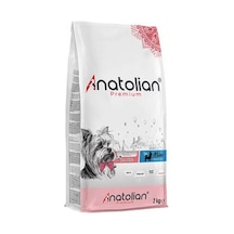 Premium Somonlu Mini Irk Yetişkin Köpek Maması 2 Kg