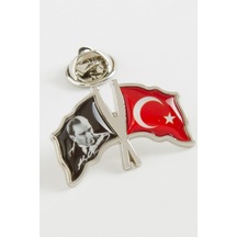 Gümüş Rengi