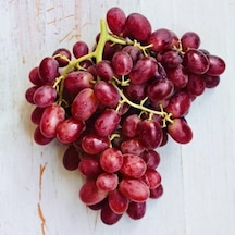 Tüplü Crimson Seedless Çekirdeksiz Üzüm Asma-Bağ Fidanı