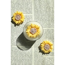 Bernami Biblo Pinterest Hediyelik Mum - Kiraz Çiçeği Kokulu Ayçiçeği Model - 10 Adet