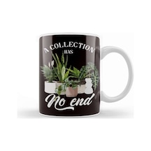 Collection Has No End Indoor Plants Planting Garden Flowers Kupa Bardak Porselen Karışık