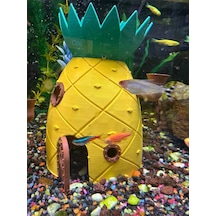 Akvaryum Dekor Ananas Ev 15 Cm Yükseklik 10 Cm Genişlik Balık Yuvası Ana-1510-01, One Size