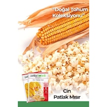 40 Adet Ata Tohumu Yerli Cin Mısır Popcorn