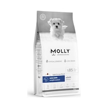 Molly Mini Irk Kısırlaştırılmış Somonlu Yetişkin Köpek Maması 8 KG