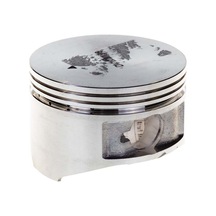 Palmera Dm510208 Piston - Palmera Dm51P-D196. Dm53S-196