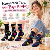 Çok Renkli