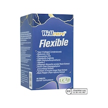 Wellcare Flexible Kolajen 60 Tablet