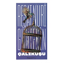 Çalıkuşu - Reşat Nuri Güntekin