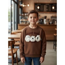 Zekids Erkek Çocuk Peluş Ayıcık İşlemeli Sweatshirt-16393 Kahverengi