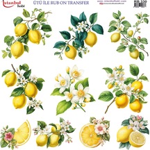 Ütü İle Rub On Transfer Kağıdı 30x30cm Rb-330