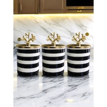 Baharatlık - Metal Kapaklı 3'lü Siyah Zebra Gold