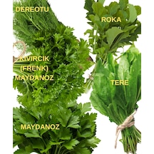 Yeşillik Tohum Seti Maydanoz, Kıvırcık Frenk Maydanoz, Tere, Roka Ve Dereotu 10 Gr.' Lık Paketler 10 Gr.