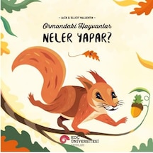 Ormandaki Hayvanlar Neler Yapar