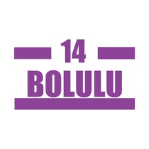 14 Bolulu Araba Sticker 17x17 Cm Mor