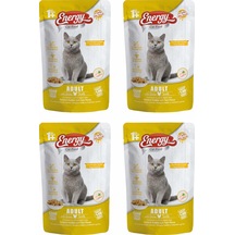 Energy Tavuklu Yetişkin Yaş Pouch Kedi Maması 4 x 85 G