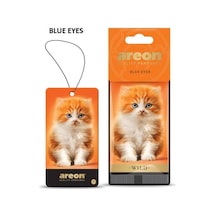 Areon Blue Eyes Koku Asma Kağıt Wıld