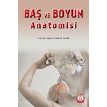 Baş Ve Boyun Anatomisi