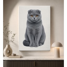 Bk Gift Gri Scottish Fold Kedi Portresi Beyaz Fonlu Minimalist Modern Kanvas Duvar Tablosu 50x70 Cm