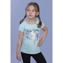 Mint Yeşili