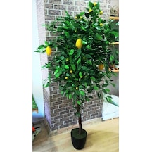 Yapay Limon Ağacı Limon Çiçeği 1.80 Metre Boyunda Büyük Iri Meyveli Limon Bitki Yeşil Karışık