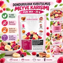 Fresh Dondurularak Kurutulmuş Fun Mix 20 G