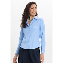 Tudors Kadın Slim Fit Dar Kesim Uzun Kollu Çizgili Mavi Gömlek-50323