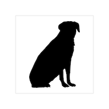 Köpek Folyo Sticker Derstv895 30cm Uzunluk Siyah
