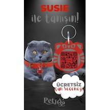 Petjoo 3.Susie Gri-Kırmızı Qr'lı Kedi Künyesi