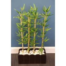 Yapay Çiçek Deposu Yapay Bambu Seperatör Kahverengi Saksılı 20x50x105cm