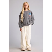 Defacto Dısney Lılo & Stıtch Relax Fıt Bisiklet Yaka Sweatshirt Kız Çocuk I5227a826augr206 Gri-gr206