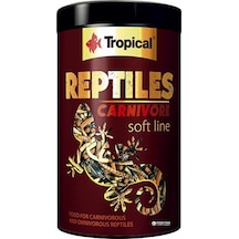 Tropical Reptiles Carnivore Soft Etobur ve Omnivor Sürüngenler Iç