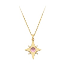 Altın Pembe Taşlı Şimal Yıldızı Kolye 80172002