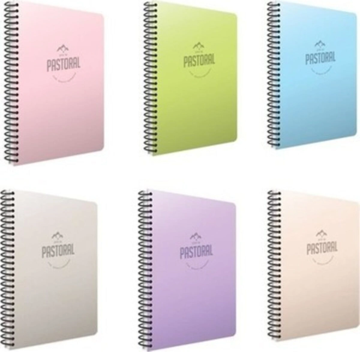 A4 160 Yp Spralli Çizgili Plastik Kapak Defter