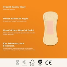 30'lu Standart Günlük Ped