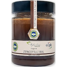 Ayhan Ercan Organik Zencefilli Bal 330 G