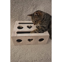 Mistikhane - Kedi Tırnak Törpüsü Ve Oyun Kutusu L Model