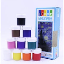 Akrilik Boya 10 Renk 20 ml 1 Paket Akrilik Boya Seti 10 lu Ahşap Tuval Taş Ağaç Boyamalar İçin İdea Boyama Seti