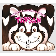 Hayvanlar Aleminin En Dişleği Tavşan