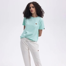 Mint Yeşili