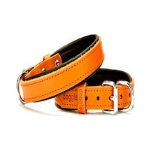 Doggie Comfort Deri Köpek Boyun Tasması Sbt-1510 Kamel