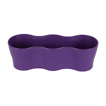 Üçlü Kaktüs Saksı 5,5 Cm