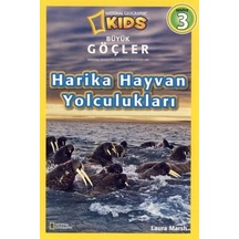 Çok Renkli
