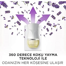 Elektrikli Oda Kokusu Esansiyel Yağlar Yedek Şişe Lavanta Diğer