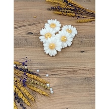 Bernami Mum Pinterest Altın Yaldızlı Papatya Düğün Nişan Söz Doğum Günü Kına Sünnet Hediyelik - 10 Adet Diğer