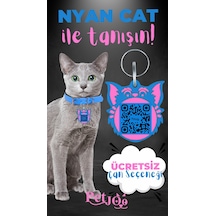 Petjoo 2.Nyan Cat Pembe-Mavi Qr'lı Kedi Künyesi
