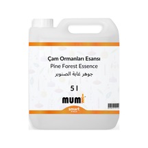 Çam Ormanları Mum Esansı 5 Litre Şeffaf