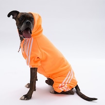 Pawstar Turuncu Tuta Orta ve Büyük Irk Köpek Tulumu Köpek Kıyafeti