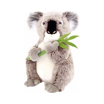 3 Adet Animals Of The World Koala Pelüş 36 Cm Çok Renkli