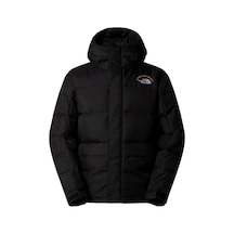 The North Face M Hmlyn 30 Annıversary Erkek Parka Nf0a88xejk31 Siyah